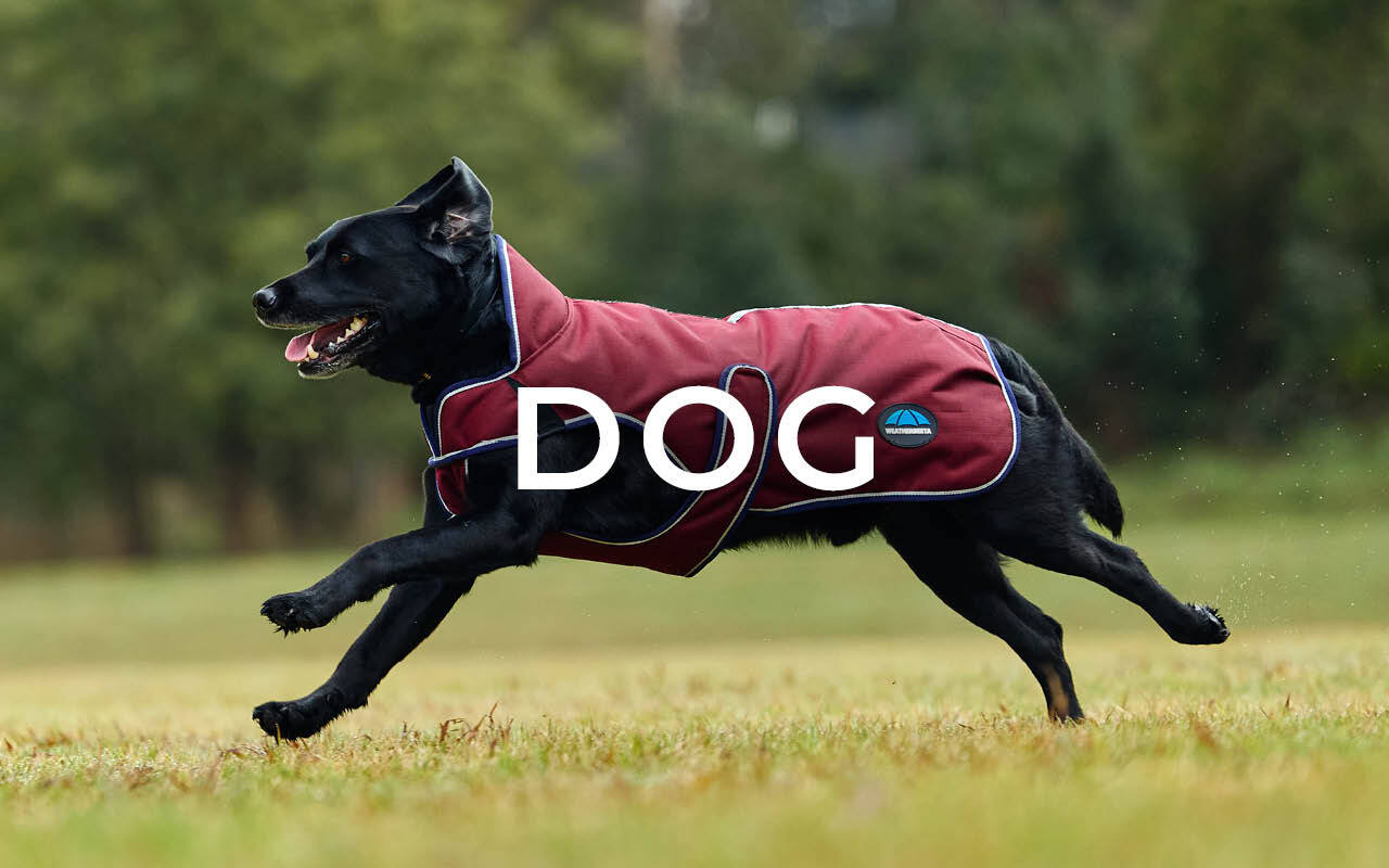 WEATHERBEETA DOG COATS & ACCESSORIES