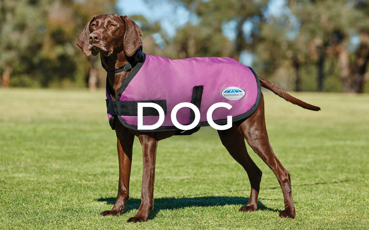 WEATHERBEETA DOG COATS & ACCESSORIES