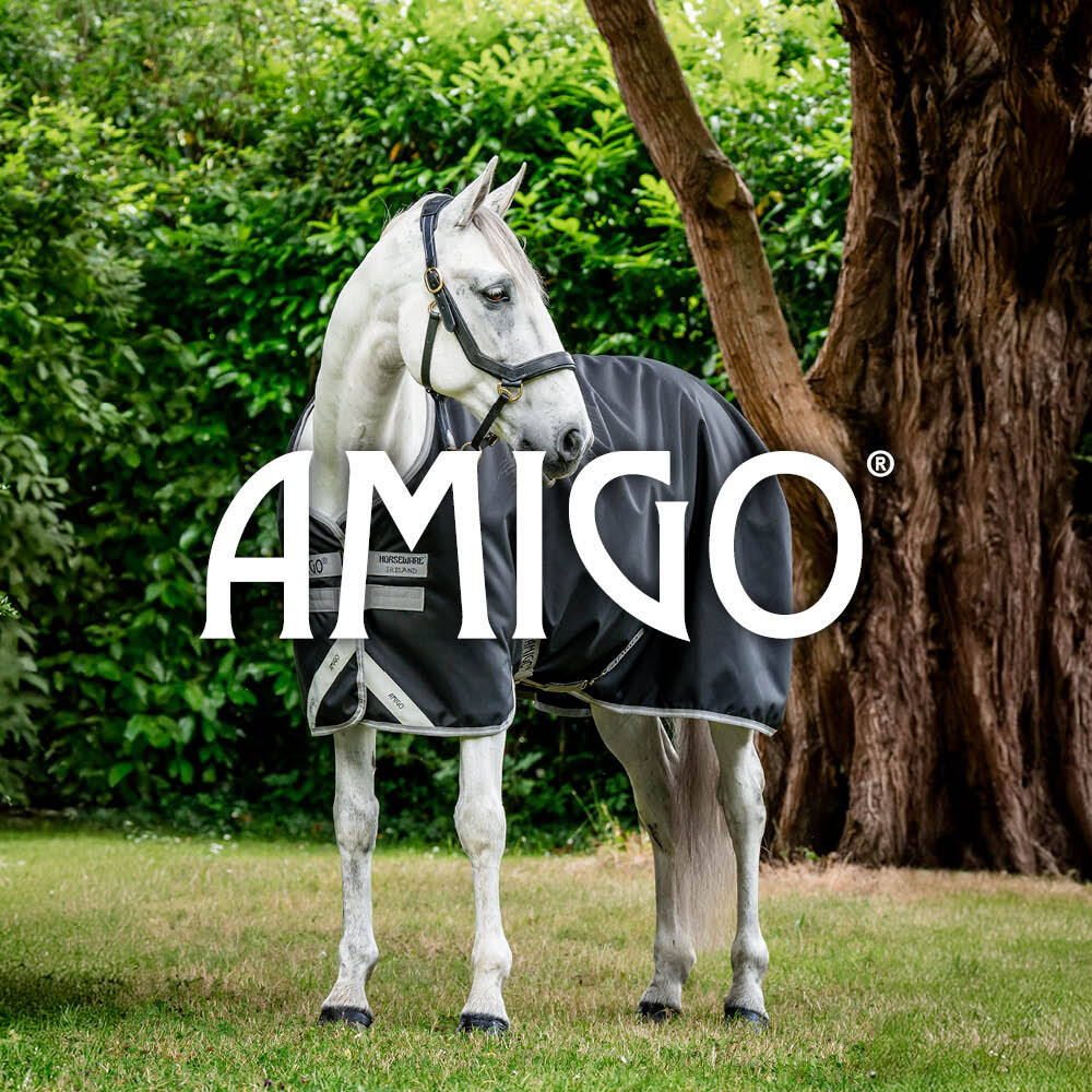 Horse wearing Horseware Amigo Turnout Rug