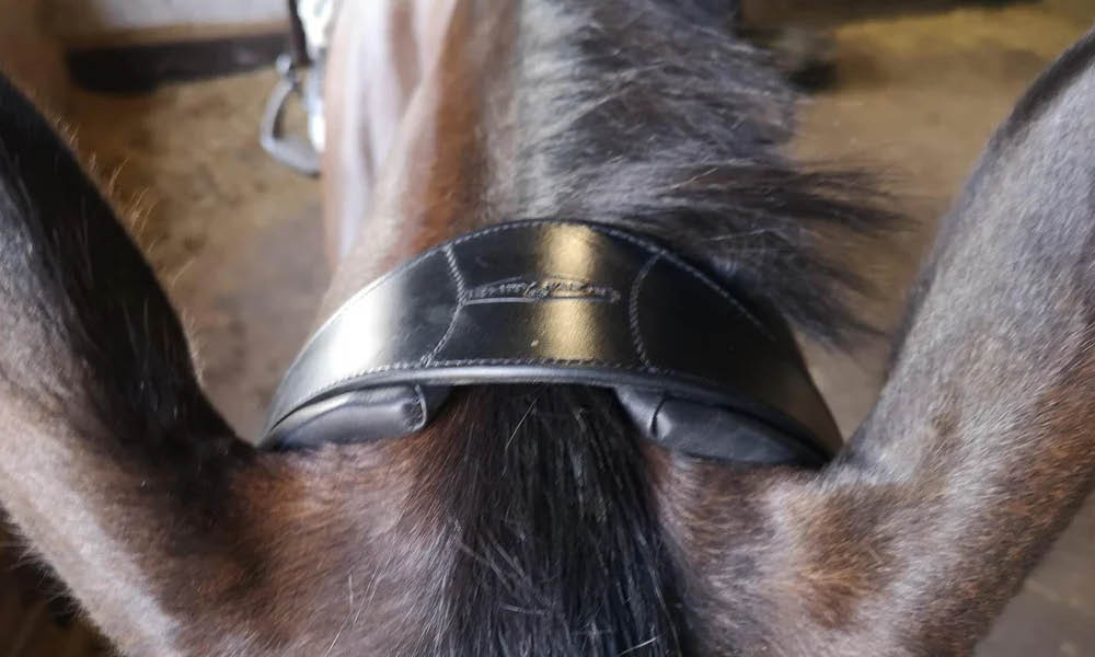 Henry James Saddlery Comfort 4D Air Headpiece