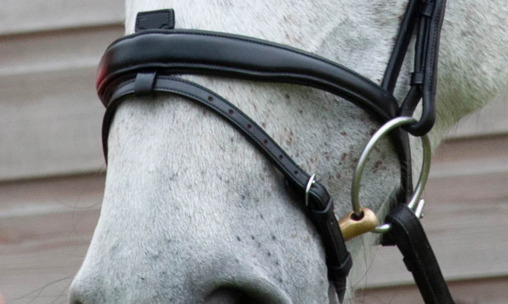 Henry James Saddlery Comfort Flash Noseband for Bridle