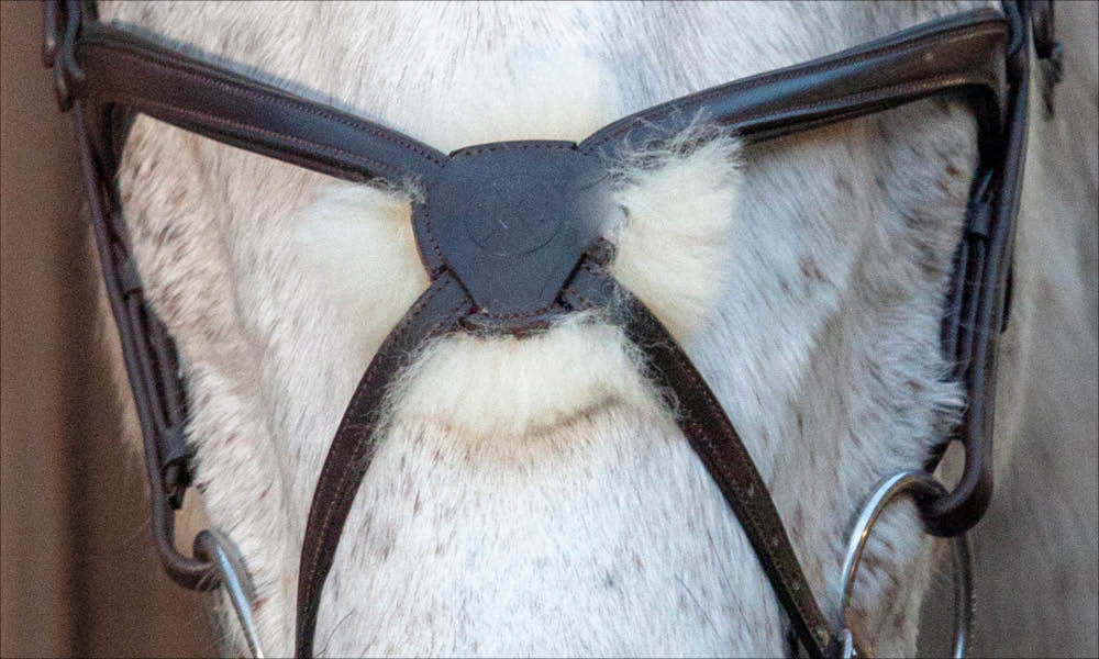 Henry James Saddlery Grackle Figure 8 Noseband for Horse Bridle