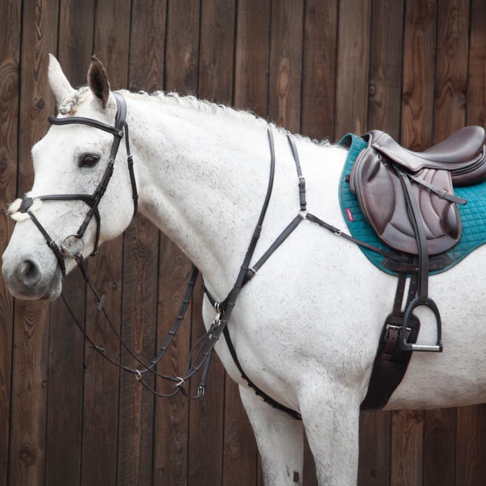 White Horse Wearing Henry James Saddlery Horse Tack, Bridle and Breastplate