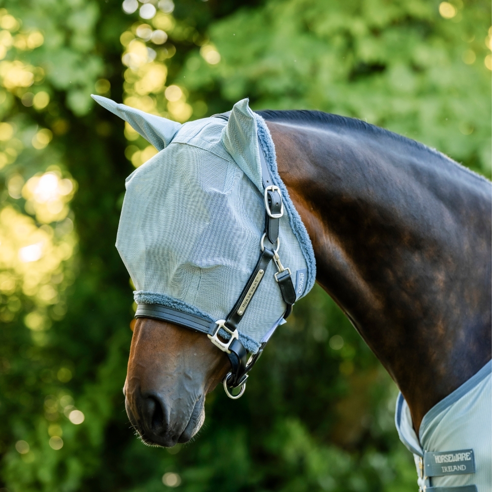 Horseware Amigo Affordable Fly Mask on Horse in Blue