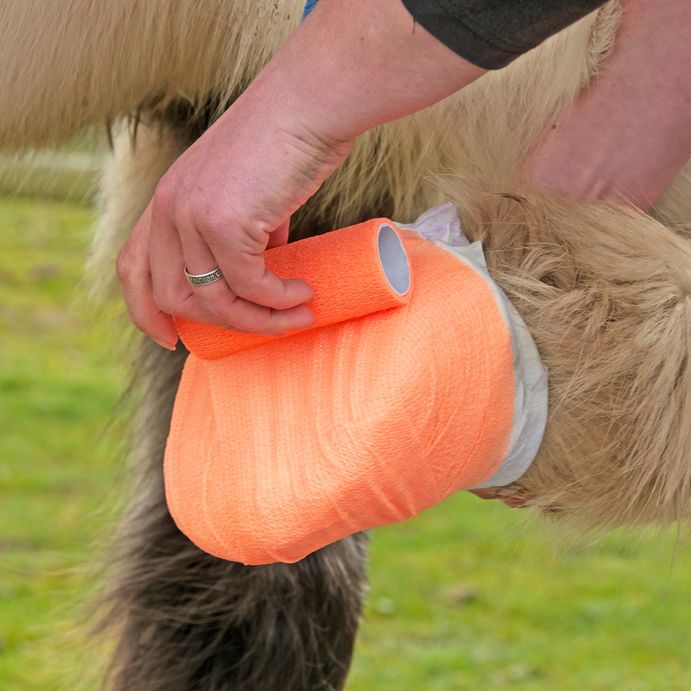 Person using orange vet wrap from horse first aid kit over an injury on horse’s hoof