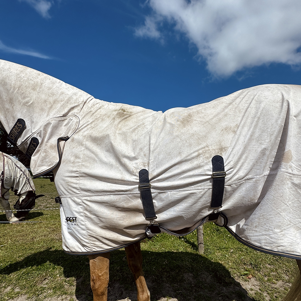 Belly straps on the Tempest Original Combo Fly Rug for horses Belly straps on the Tempest Original Combo Fly Rug for horses