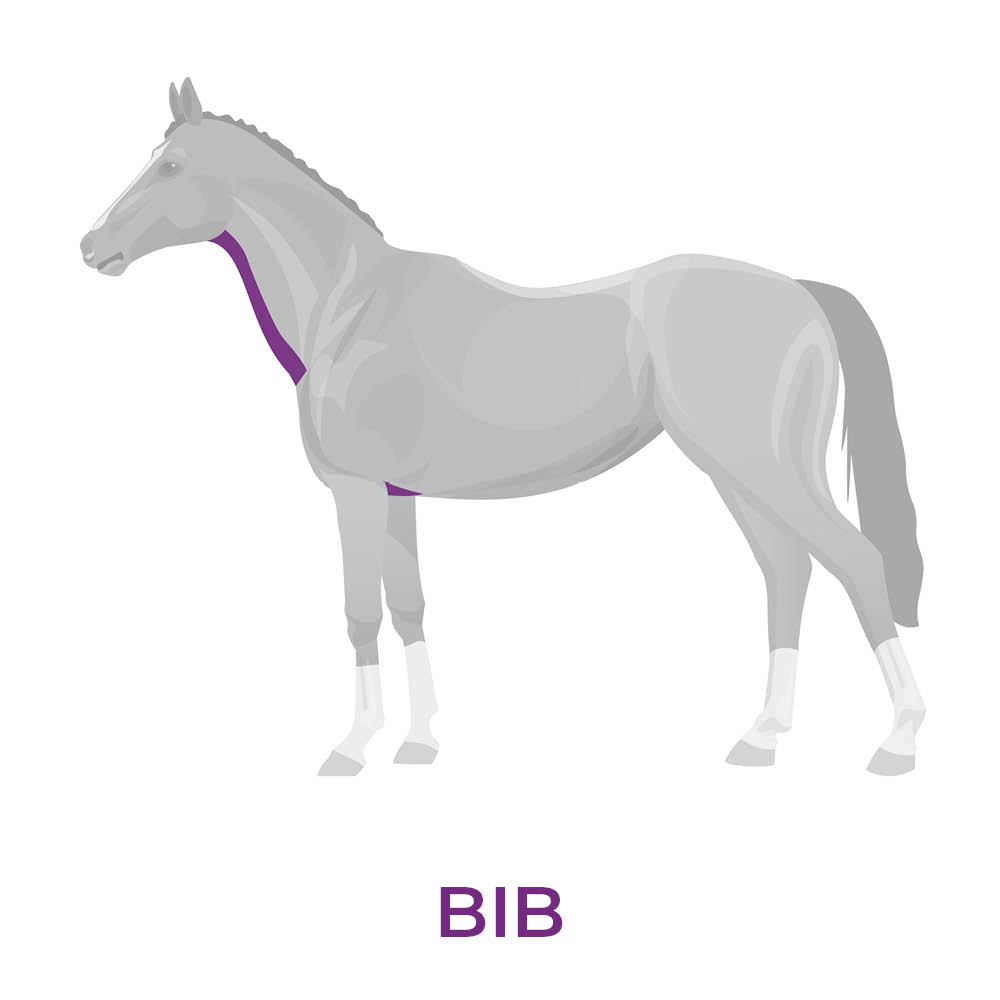 Image of horse with a bib clip showing which area has the hair removed