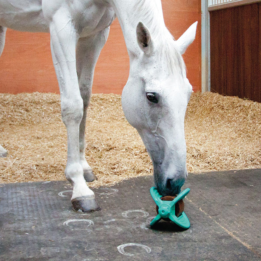 White horse in stable eating a a Bizzy Bites horse toy