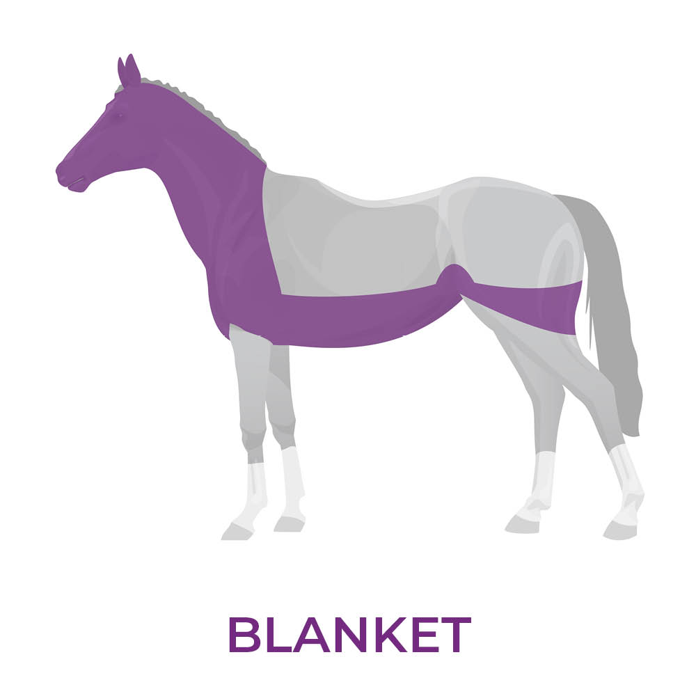 Image of horse with a blanket clip showing which area has the hair removed