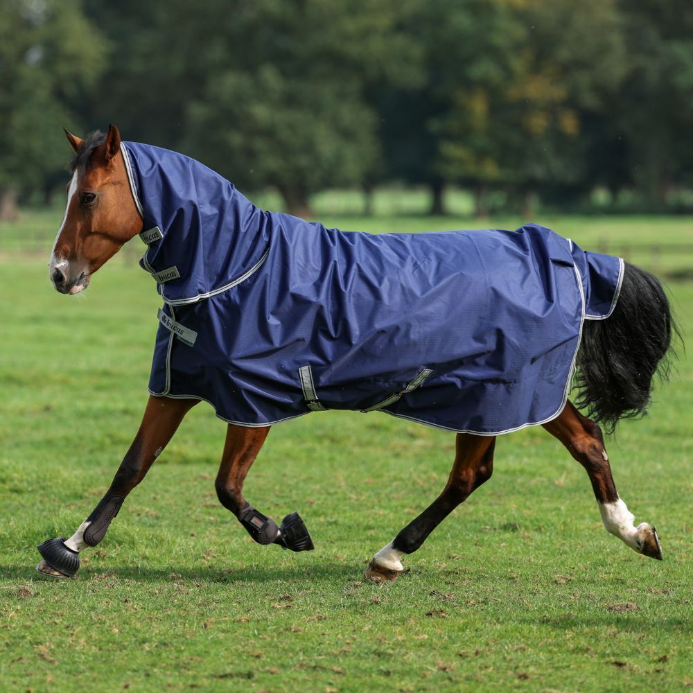 Horse in field wearing Bucas Turnout Rug Horse in field wearing Bucas Turnout Rug