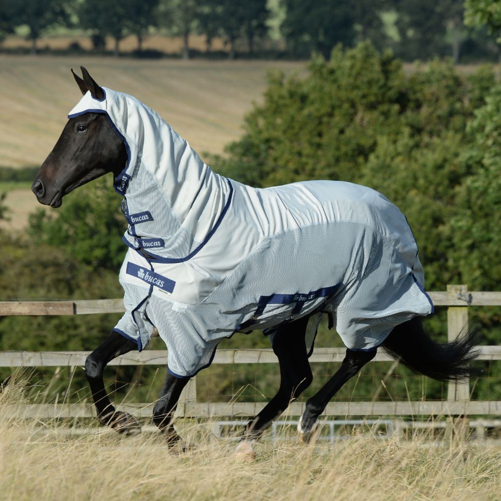 Horse in field wearing Bucas Sweet Itch Fly Rug Horse in field wearing Bucas Sweet Itch Fly Rug