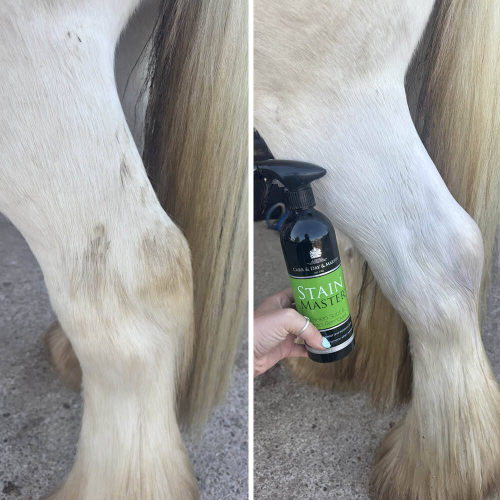 White horse before and after using Carr & Day & Martin Stain Remover Spray