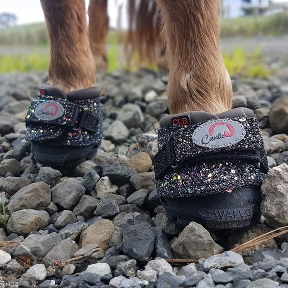 Cavallo Bling CLB hoof Boot on Rocky Terrain Cavallo Bling CLB hoof Boot on Rocky Terrain