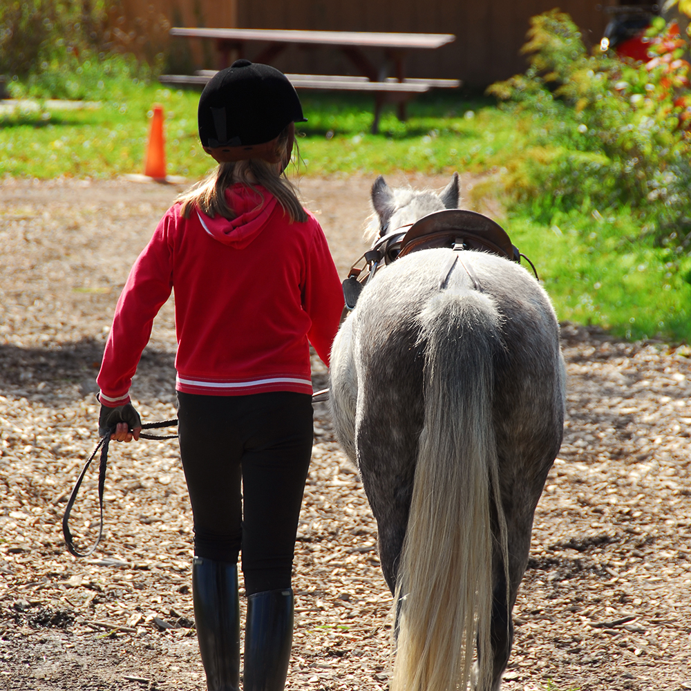 Child wearing beginner horse riding gear for first riding lesson