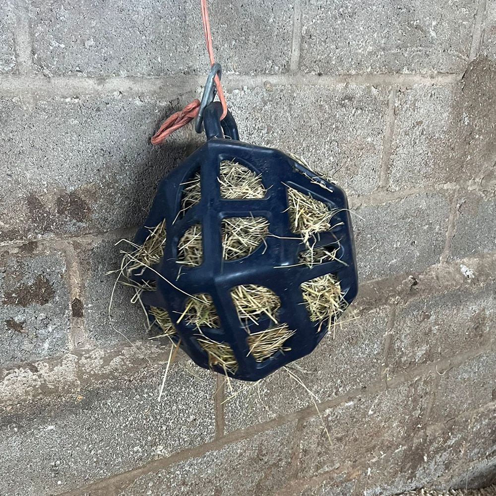 Close-up of the LeMieux Hay Ball used as a horse boredom breaker and slow feeder Close-up of the LeMieux Hay Ball used as a horse boredom breaker and slow feeder