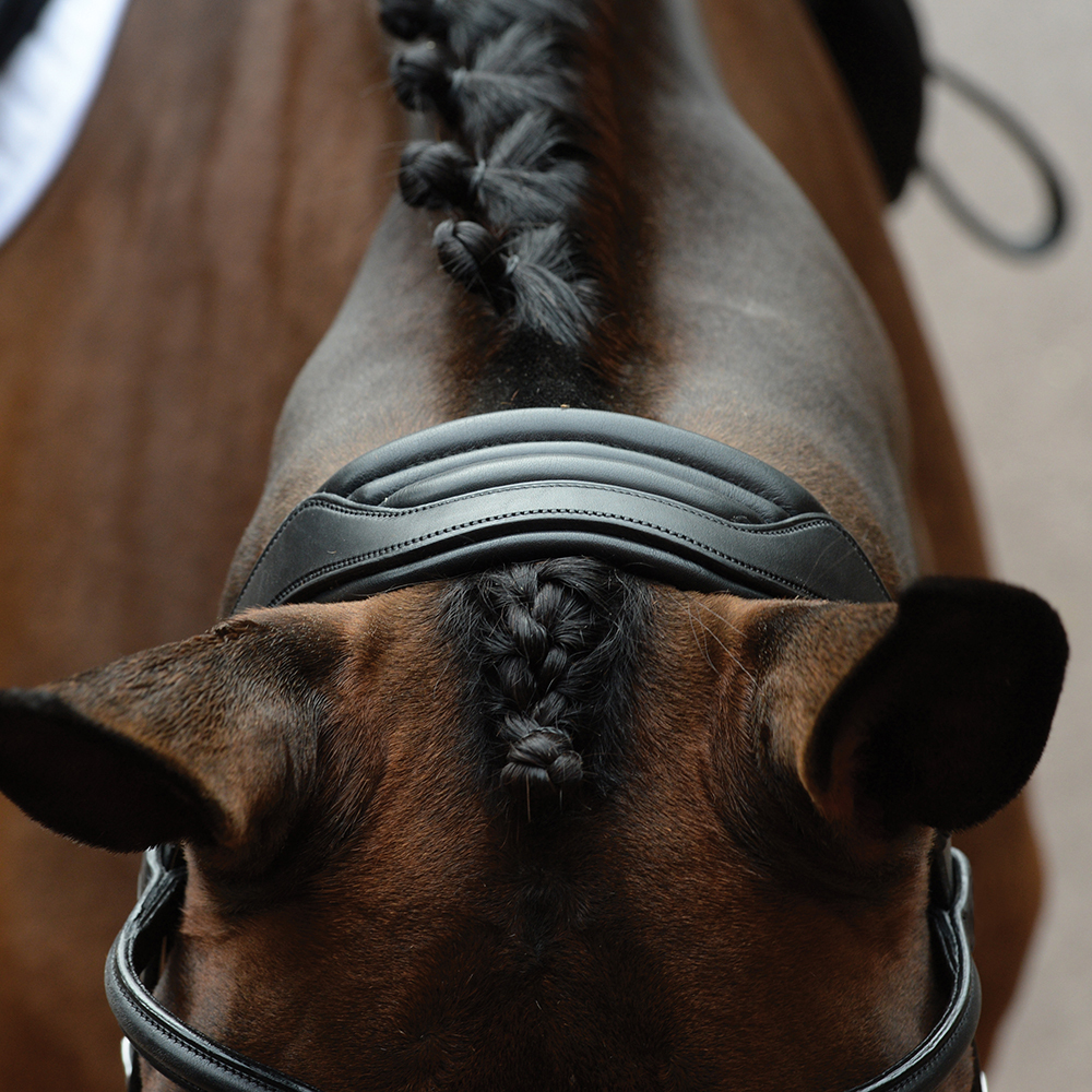 Wide cushioned poll guard on Collegiate Vogue Bridle 
