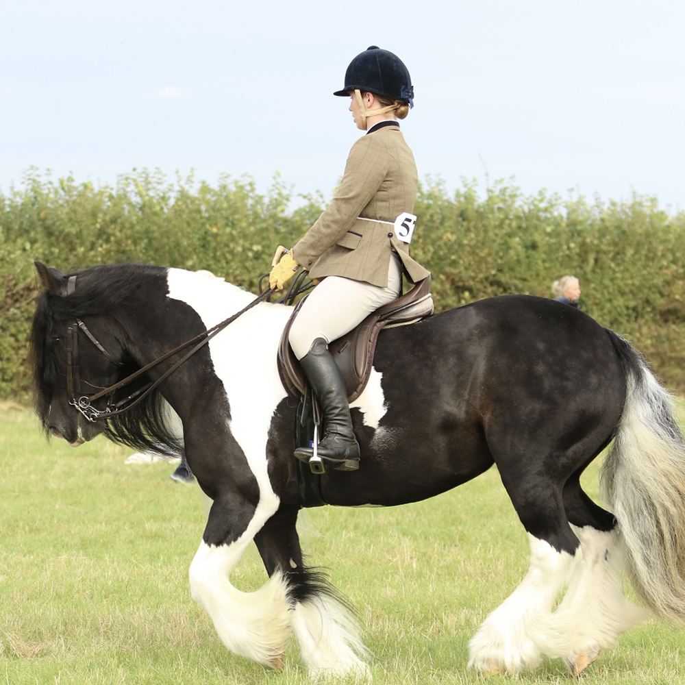 What to wear for a coloured class at a horse show