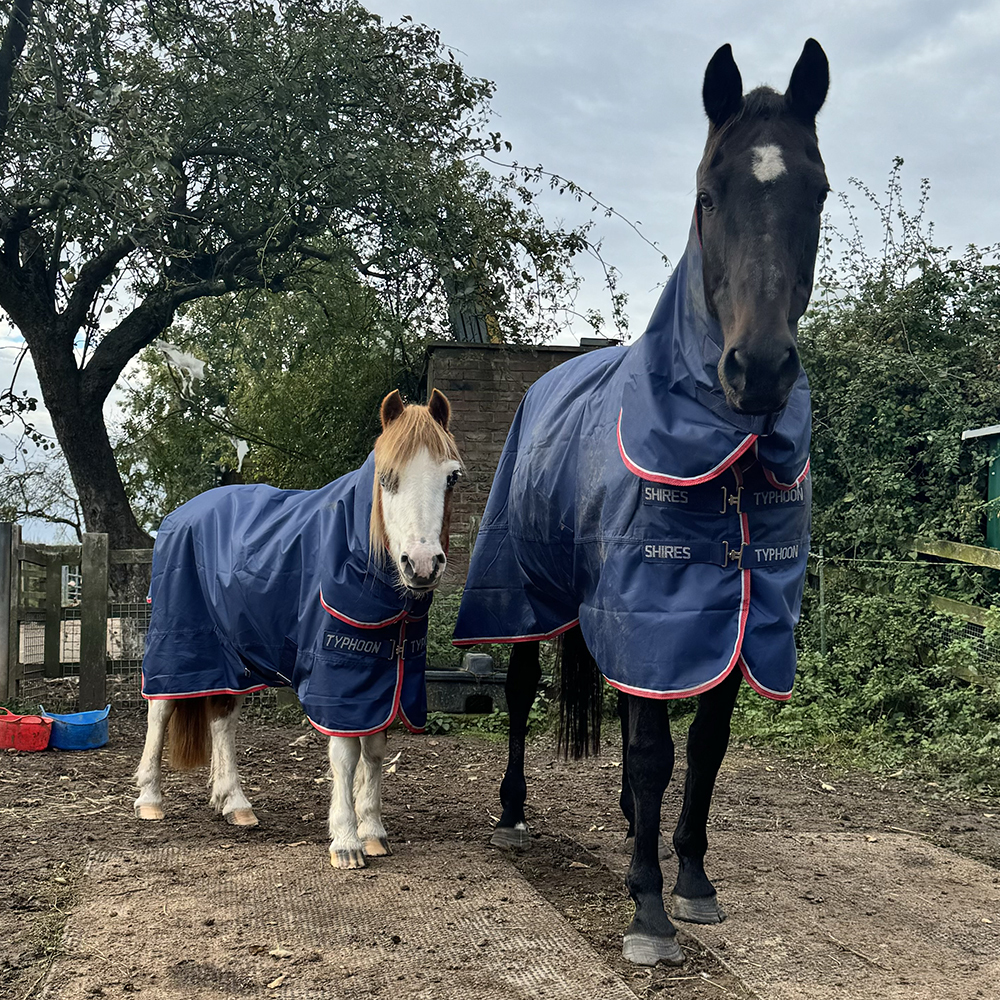 Shires Typhoon Rugs used on horses with a smaller, finer conformation