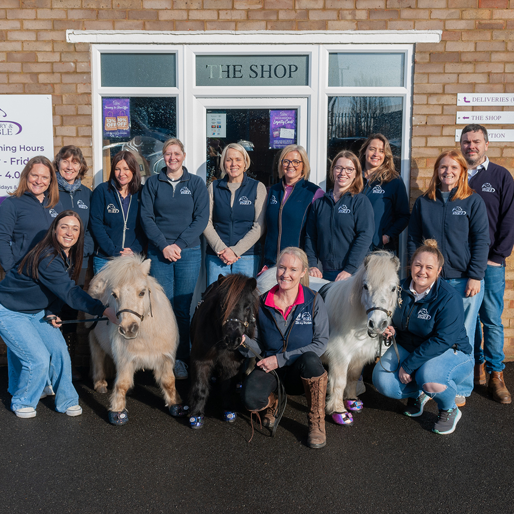 Dinky Ponies at Country and Stable 