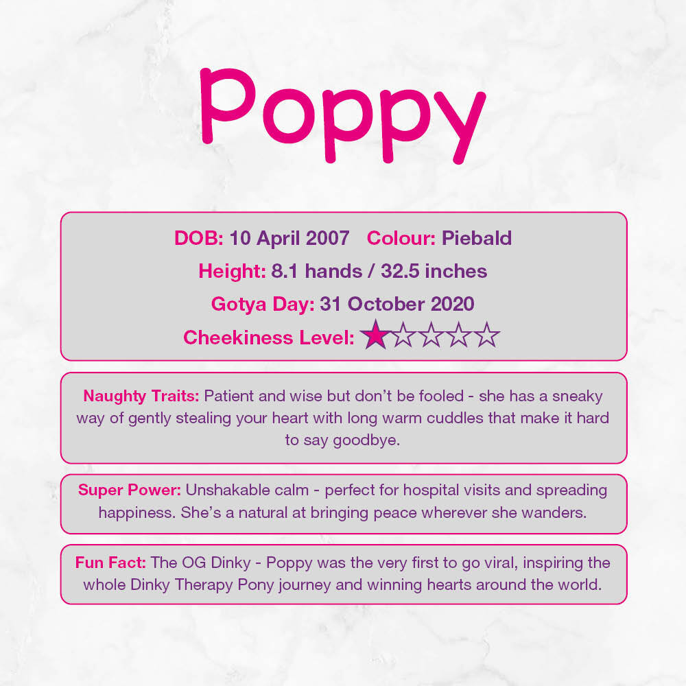 Meet Dinky Pony Poppy 