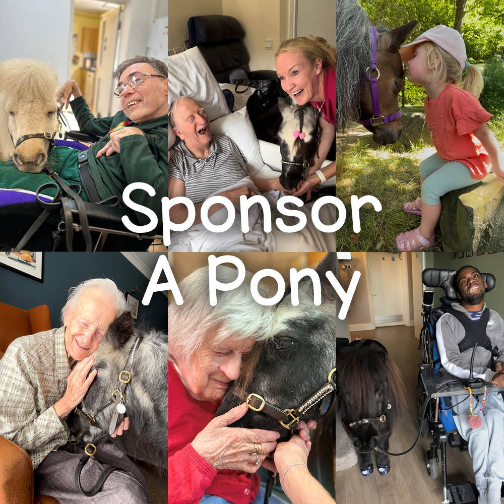 Sponsor a Dinky Pony