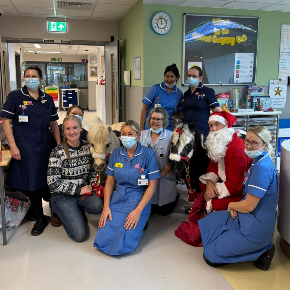 Dinky Therapy Ponies visit GWH Hospital Swindon 