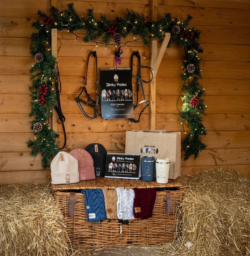 Official Dinky Ponies Merchandise