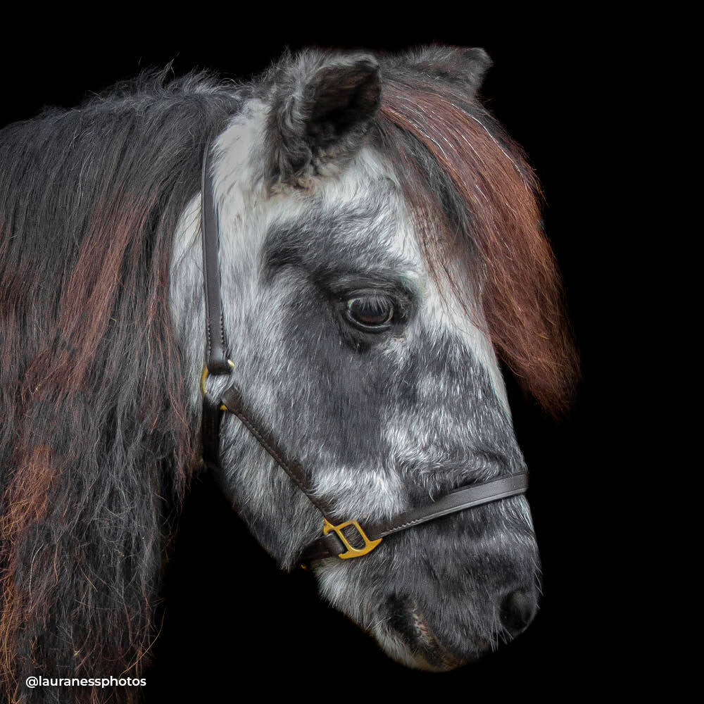 Dinky Ponies Miniature Therapy Pony Poppy