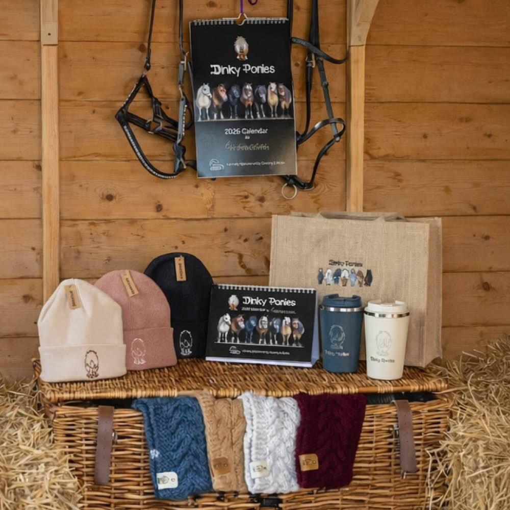 Dinky Ponies Merchandise