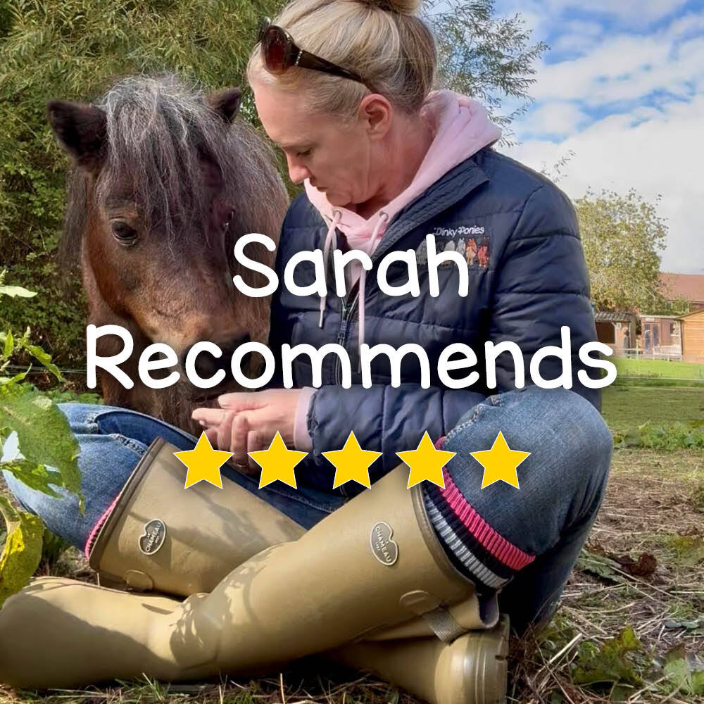 Dinky Pony founder Sarah reviewing Le Chameau wellies