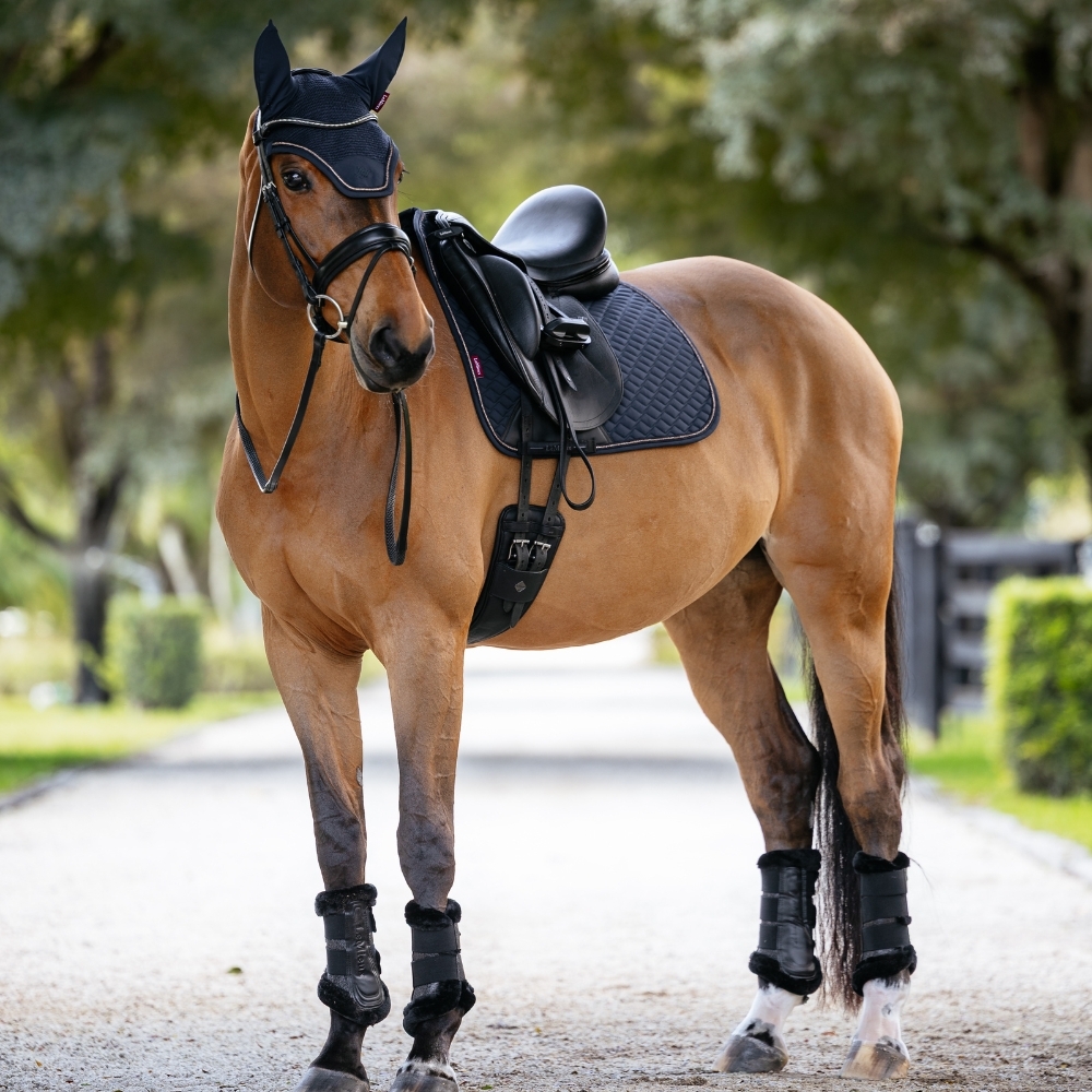 Bay horse wearing a correctly fitted black dressage saddle pad under a dressage saddle