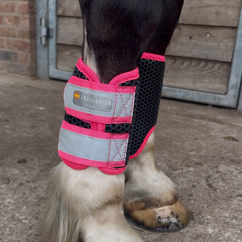 Horse wearing pair of Pink Hi-Vis Brushing Boots