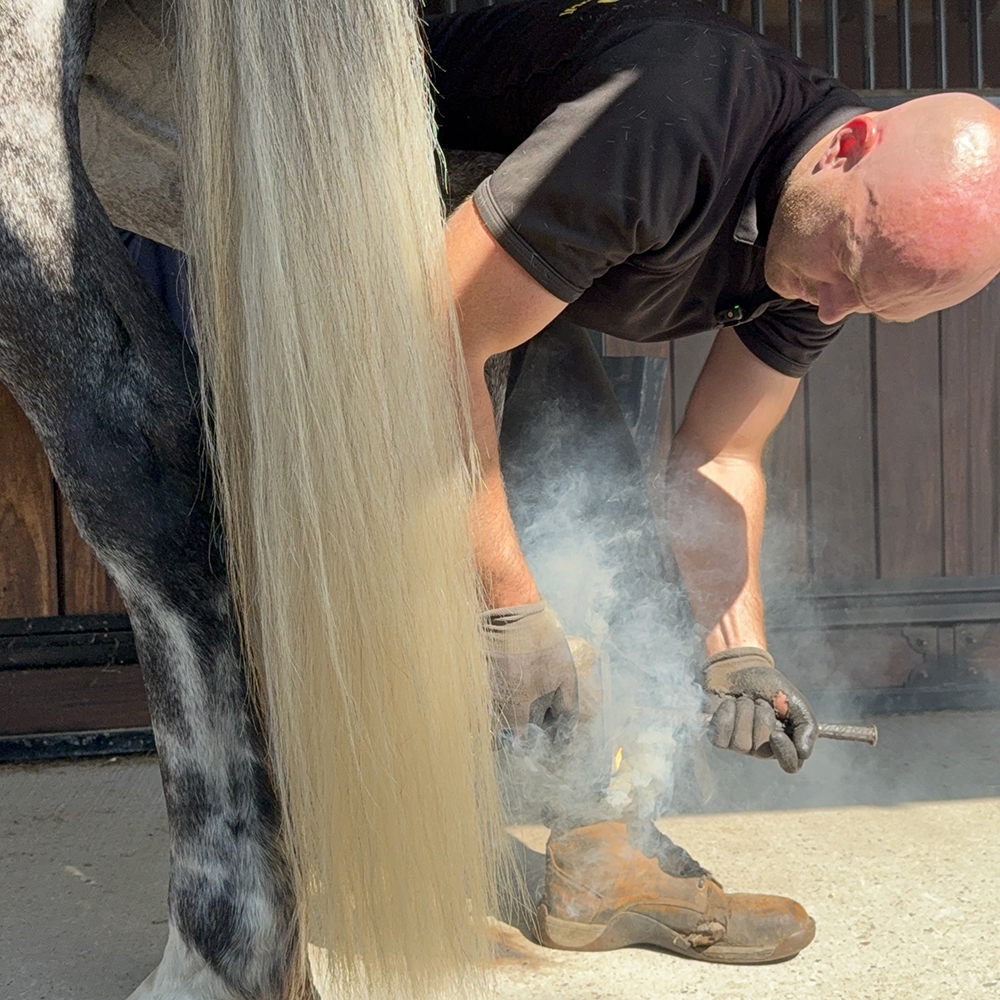 Farrier Sam Dracott Shoeing a Horse