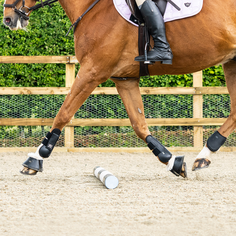 Review of woof wear tendon boots