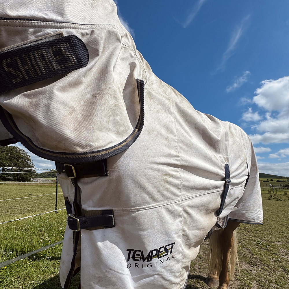 Front closure and nexk on the Tempest Original Combo Fly Rug for horses Front closure and nexk on the Tempest Original Combo Fly Rug for horses