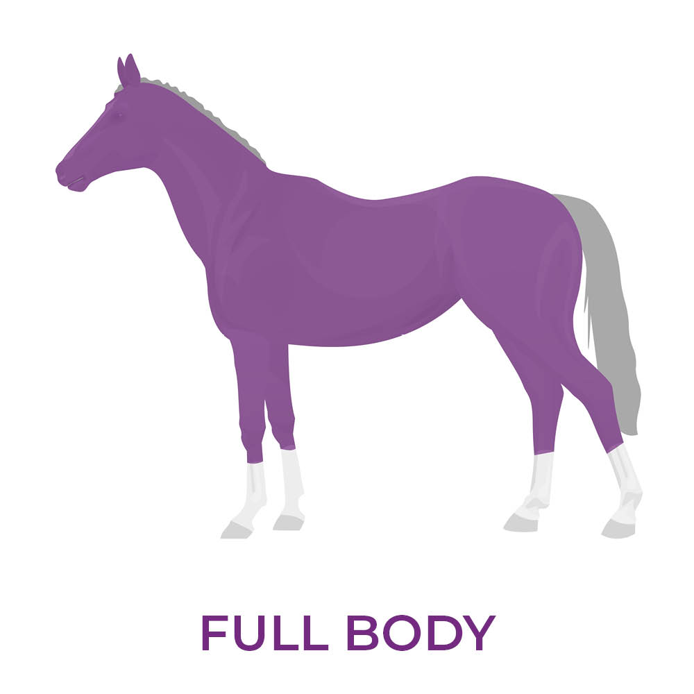 Image of horse with a full body clip showing which area has the hair removed