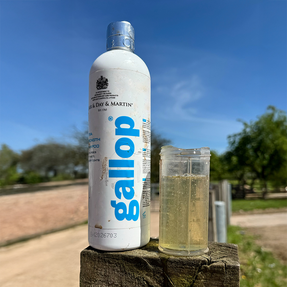 Carr & Day & martin Double Strength Gallop Shampoo 