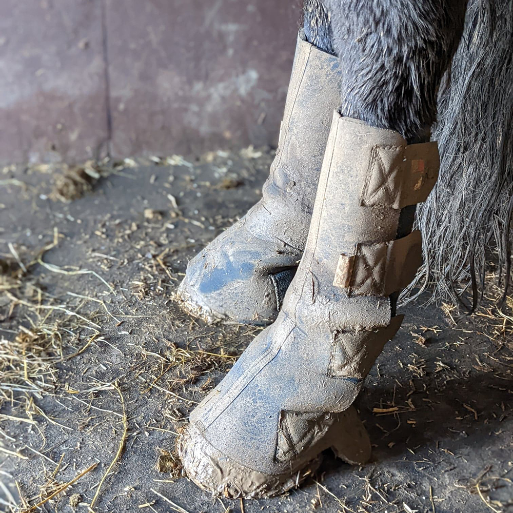 Review of Best Horse Turnout Boots Country and Stable of Olney