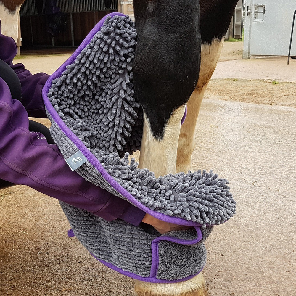 Owner drying horse&rsquo;s lower legs with Henry Wag Microfibre Glove Towel