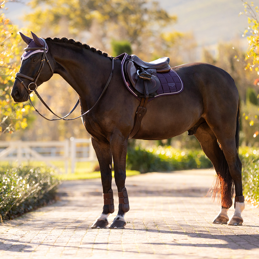 New LeMieux AW25 Horse Collection New LeMieux AW25 Horse Collection