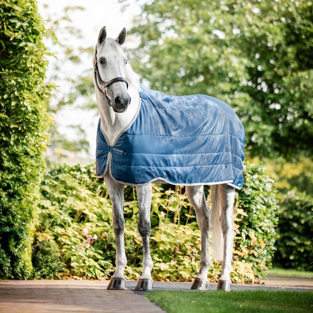 Horse wearing a rug liner