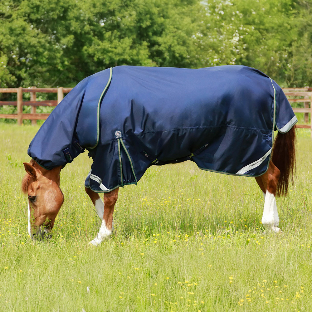 Horse wearing a blue turnout rug in field