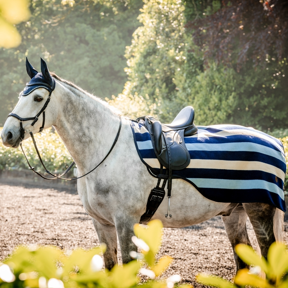 Horse wearing fleece exercise sheet