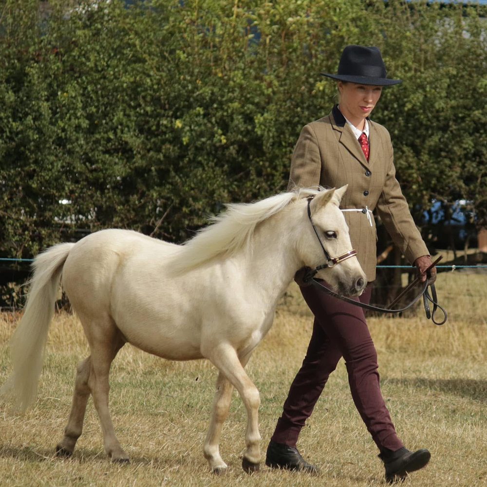 What a horse and handler should wear for an in-hand showing