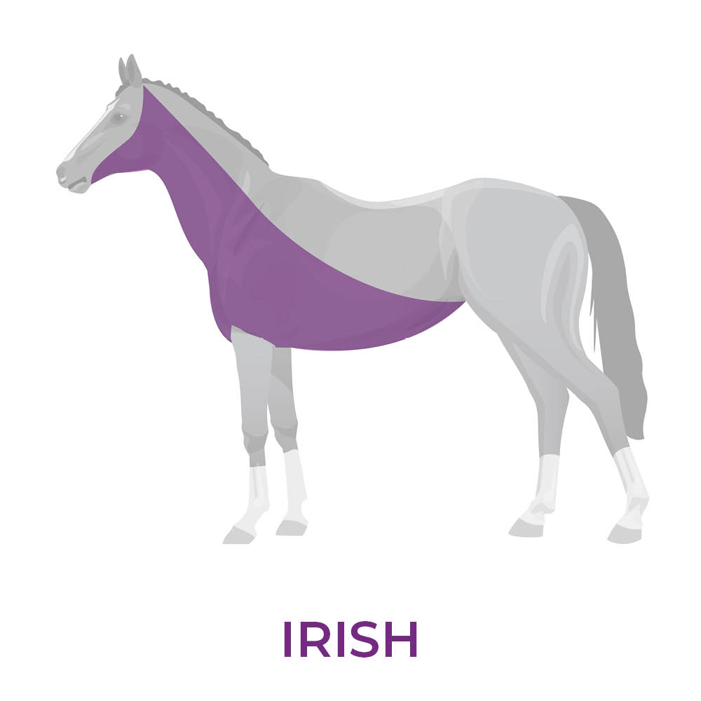 Image of horse with an Irish clip showing which area has the hair removed