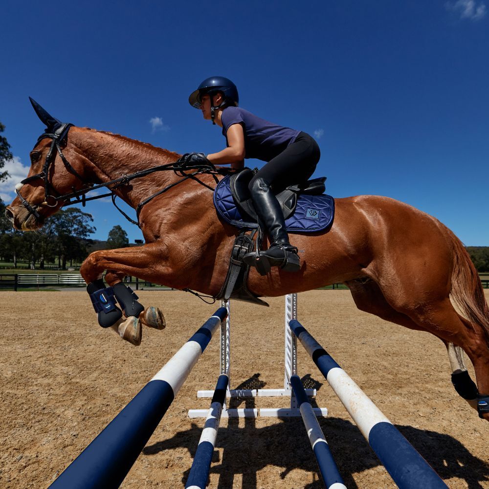 A show jumping horse wearing a close contact saddle pad and forward cut saddle