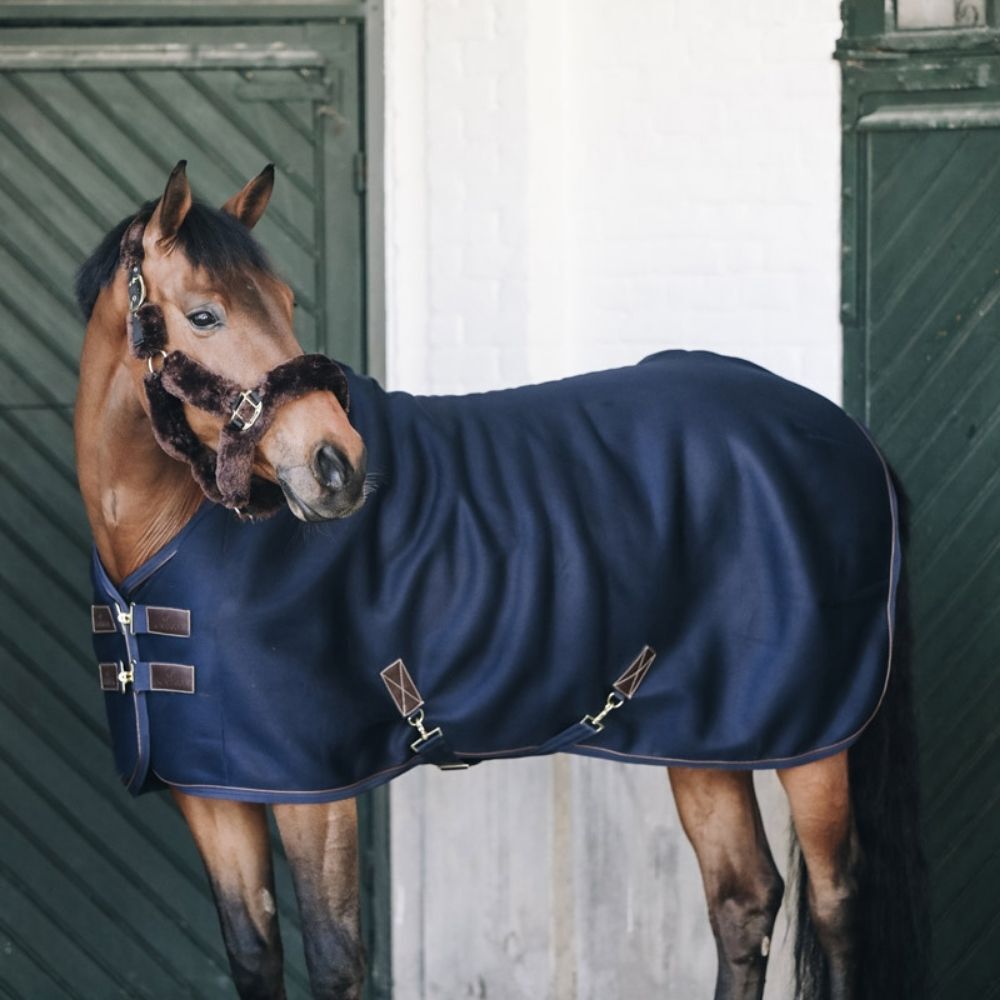 Horse wearing Kentucky Horse Wear Cooler Rug in Navy