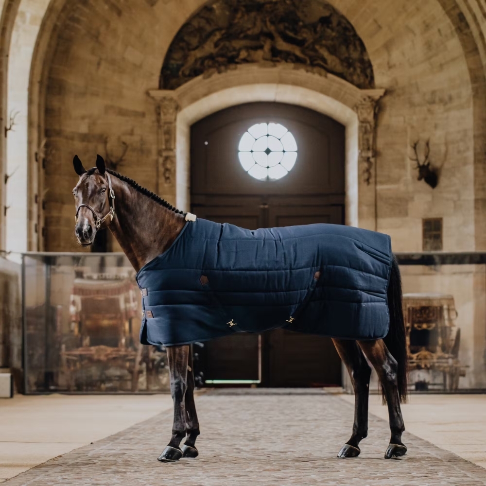 horse inside wearing a Kentucky Horse Wear Stable Rug horse inside wearing a Kentucky Horse Wear Stable Rug