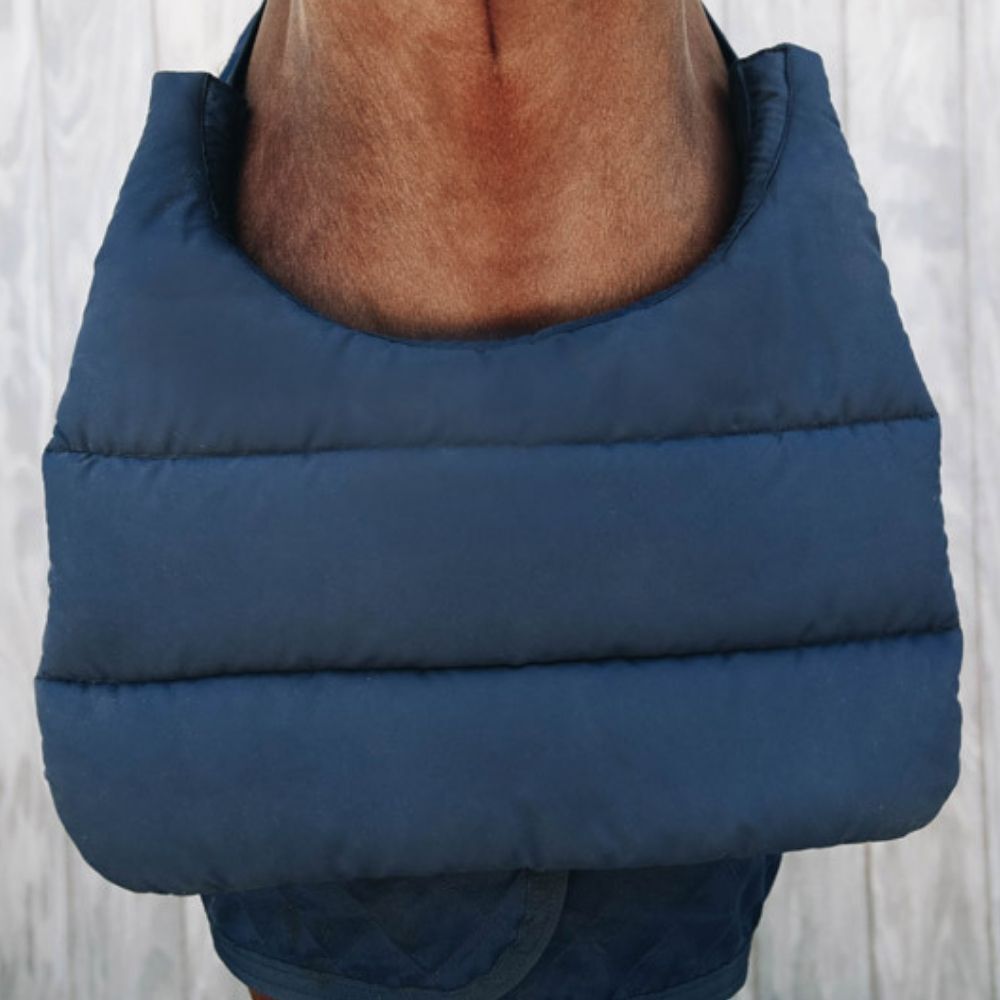 Horse wearing anti-rub bib to stop rug from rubbing horse's chest