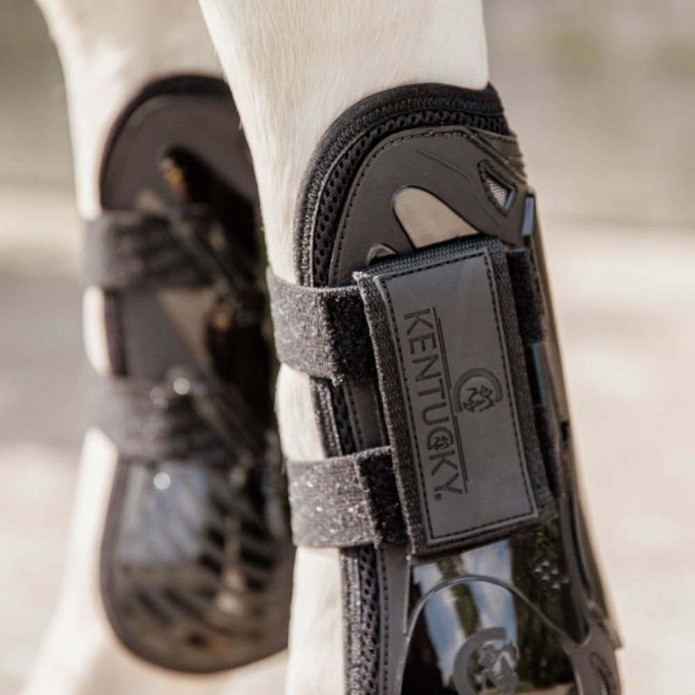 Kentucky Horse Wear Tendon Boots in Black on a White Horse